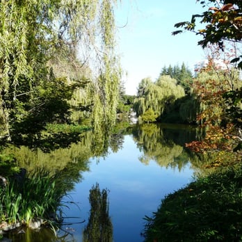 Minoru Park - Reflection off the water! Sweet - Parks Near Me - Richmond, British Columbia Minoru Park - Reflection off the water! Sweet - Parks Near Me - Richmond, British Columbia