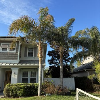 Saint Fiacre Tree Service - Tree Services Near Me - Atlantic Beach, Florida Saint Fiacre Tree Service - Tree Services Near Me - Atlantic Beach, Florida