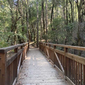 Stevens Creek Trail - Hiking Near Me