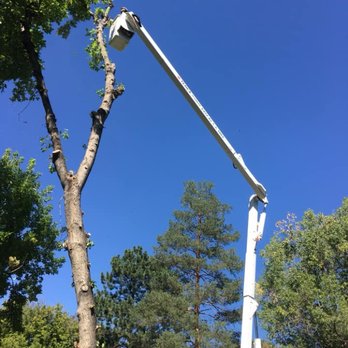 Sandoval's Tree Care - Tree Services Near Me - Aurora, Colorado Sandoval's Tree Care - Tree Services Near Me - Aurora, Colorado
