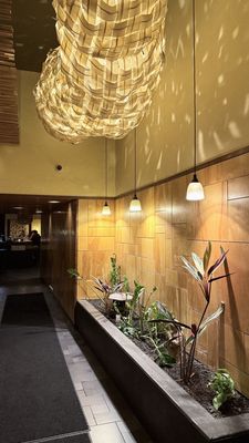 Umi Sake House by null