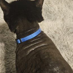 The back of his head is horrible! Who does this!