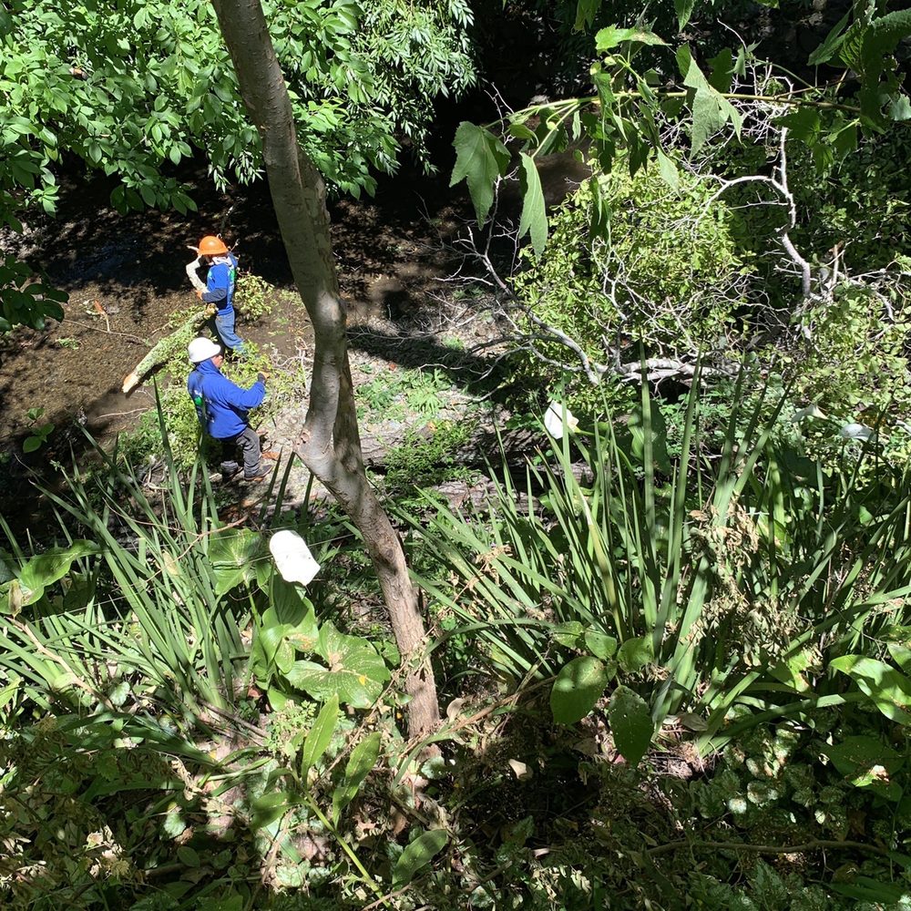 All Seasons Tree Care - Ground crew - Tree Services Near Me All Seasons Tree Care - Ground crew - Tree Services Near Me