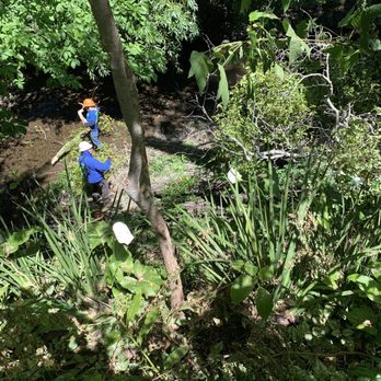 All Seasons Tree Care - Ground crew - Tree Services Near Me All Seasons Tree Care - Ground crew - Tree Services Near Me