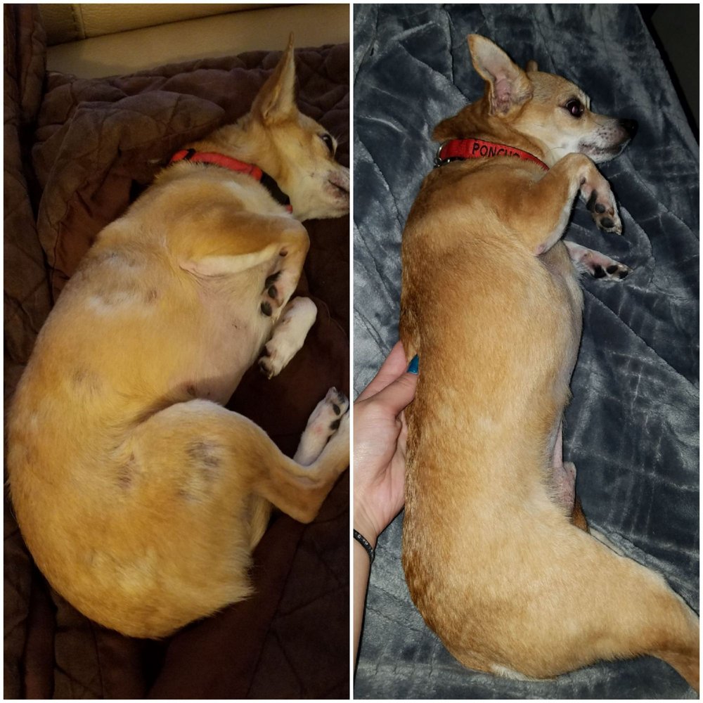 CHEYENNE DOG FOOD CO. Updated October 2024 12 Reviews 801 W