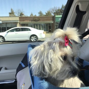 PetSmart - Pet Groomers Near Me - Royal Oak, Michigan