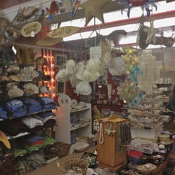 W S Stetson's Seashells