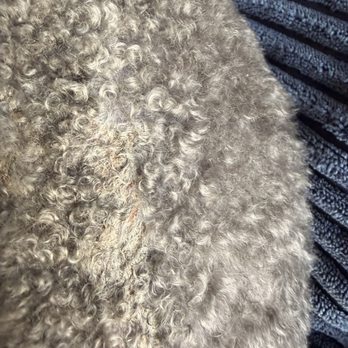 Petco - Skin irritation and scabbing - Pet Training Near Me - Ft. Worth, Texas Petco - Skin irritation and scabbing - Pet Training Near Me - Ft. Worth, Texas