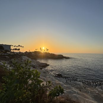 La Jolla Cove - Parks Near Me - La Jolla, California La Jolla Cove - Parks Near Me - La Jolla, California
