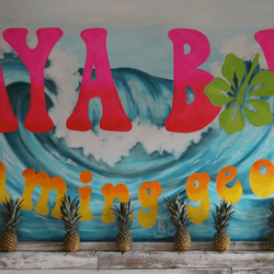 Playa Bowls