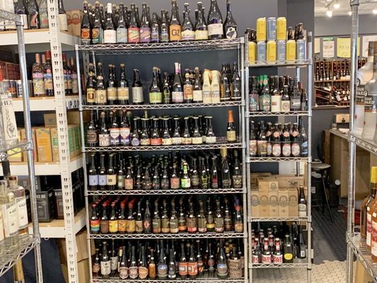 The Wise Old Dog by null