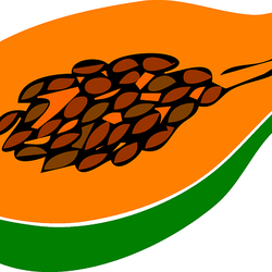 Mamão Papaya