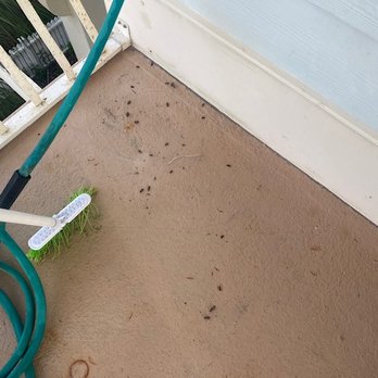 Vacasa - Rat droppings found on every balcony. - Vacation Rentals Near Me - Navarre, Florida Vacasa - Rat droppings found on every balcony. - Vacation Rentals Near Me - Navarre, Florida