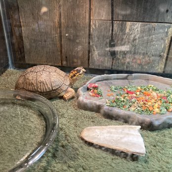 Winnie Palmer Nature Reserve - Turtle ... - Parks Near Me - Latrobe, Pennsylvania