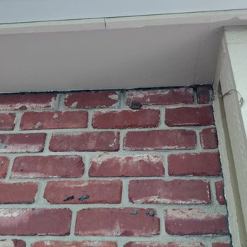 Armor Pest Defense - Mud dropper nest not removed, several others around the house. - Pest Control Near Me Armor Pest Defense - Mud dropper nest not removed, several others around the house. - Pest Control Near Me