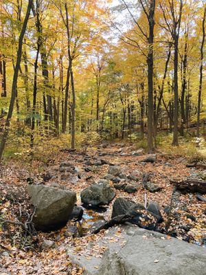 Hudson Highlands State Park by null