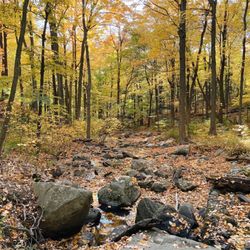 Hudson Highlands State Park