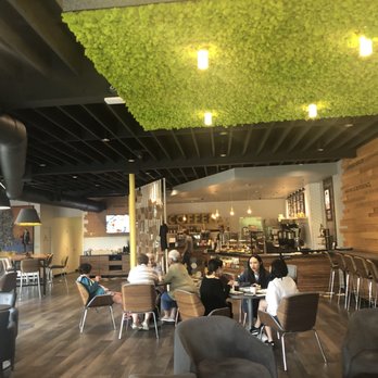 Queen Bee Cafe - Coffee & Tea Near Me - Clyde Hill, Washington Queen Bee Cafe - Coffee & Tea Near Me - Clyde Hill, Washington