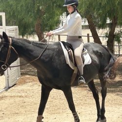 Peck Farm - Learning English riding