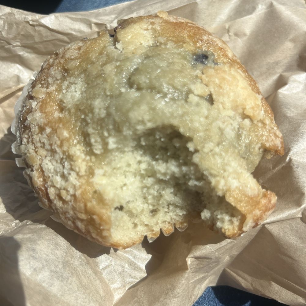 Blueberry Muffin