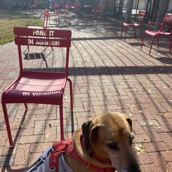 Astoria Caffe & Wine Bar - The view nearby - Coffee & Tea Near Me - Addison, Texas