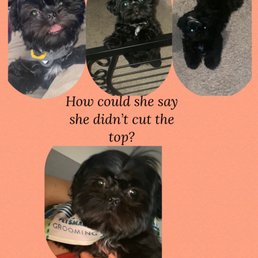 BOTCHED Puppy Cur