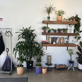 Kinfolx - Welcome entrance, coat hanger, plant study books - Coffee & Tea Near Me - Oakland, California
