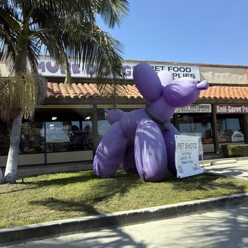 Murk Doggy - Outside - Pet Stores Near Me - La Habra, California Murk Doggy - Outside - Pet Stores Near Me - La Habra, California