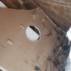 Pure Maintenance Mold Remediation - Orlando - This is what was on the other side of my ceiling that tested as "acceptable." I'm glad I got another opinion.