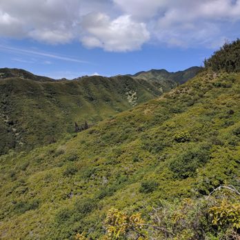 Kulepeamoa Ridge Hike - Ridges - Hiking Near Me - Honolulu, Hawaii Kulepeamoa Ridge Hike - Ridges - Hiking Near Me - Honolulu, Hawaii