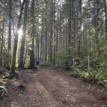 Mccormick Forest Off Leash Dog Area - Path around the perimeter - Dog Parks Near Me - Gig Harbor, Washington