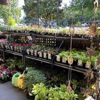 Alamo Ace Hardware - Hardware Stores Near Me - Alamo, California Alamo Ace Hardware - Hardware Stores Near Me - Alamo, California