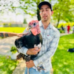 Quiver Farm Projects