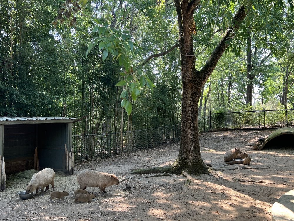 MONTGOMERY ZOO Updated September 2024 228 Photos & 54 Reviews 2301 Coliseum Pkwy