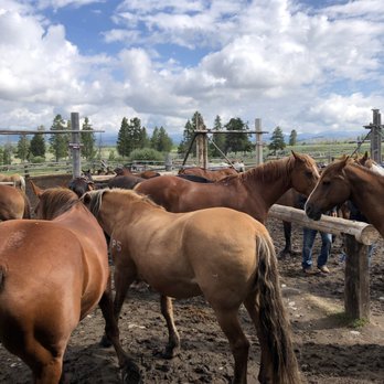 TRIANGLE X RANCH - Updated March 2026 - 28 Photos & 30 Reviews - 2 ...