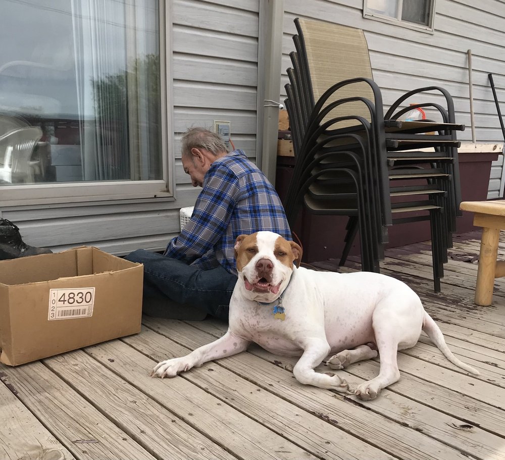 MOUNTAIN VIEW ANIMAL CLINIC PC Updated July 2024 2265 W Midvalley