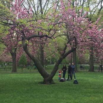 Central Park Conservancy - Parks Near Me - New York, New York Central Park Conservancy - Parks Near Me - New York, New York