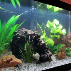 The Aquarium Nerds