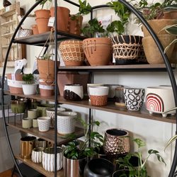 Lots of earth tone cover pot options
