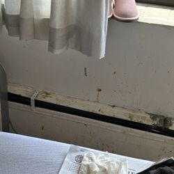 Safire Rehabilitaion Of Northowns - Food splatters on the wall in a residents room not cleaned up EVER!