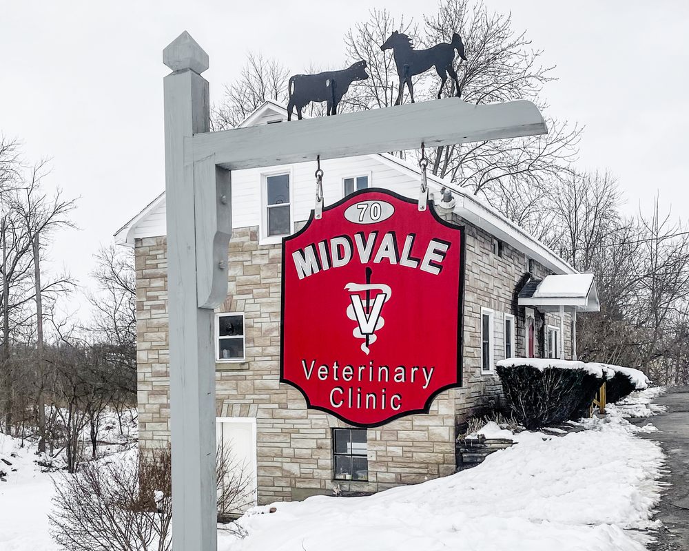 MIDVALE VETERINARY CLINIC Updated September 2024 70 E Main St