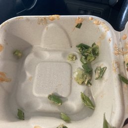 Green onions ???? Or chunks of lettuce???