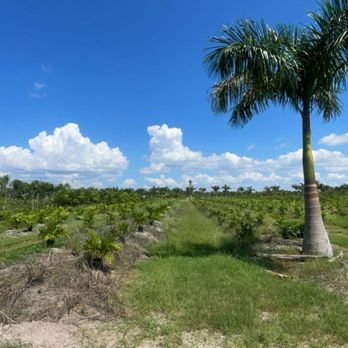 Coastal Landscaping SWFL - Lawn Services Near Me Coastal Landscaping SWFL - Lawn Services Near Me