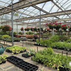 Rosie’s Gardens & Hughes Landscape