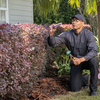 Arrow Environmental Services - Pest Control Near Me - Cape Coral, Florida