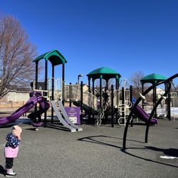 Nancy Lewis Park - Main equipment
