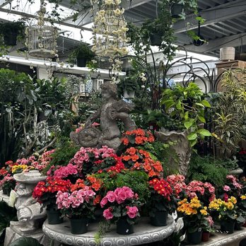Dana Point Nursery - Nurseries & Gardening Near Me - Dana Point, California Dana Point Nursery - Nurseries & Gardening Near Me - Dana Point, California
