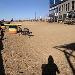 Belleview Station Dog Park - Giant area for dogs to play!