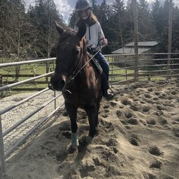 Sunny horseback ride!