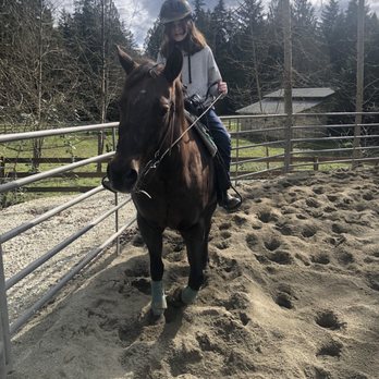 Mone Farms and Training Center - Sunny horseback ride! - Horseback Riding Near Me - Snohomish, Washington
